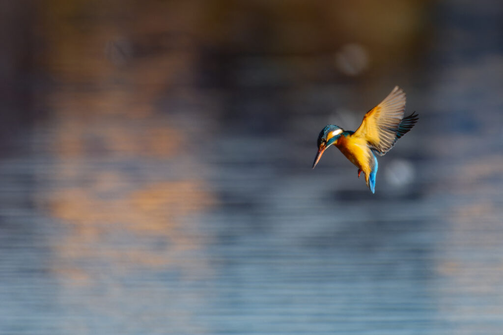 Vol du St Esprit