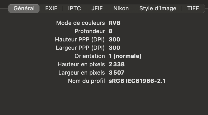 information sur la résolution de la photo pour définir l'impression.