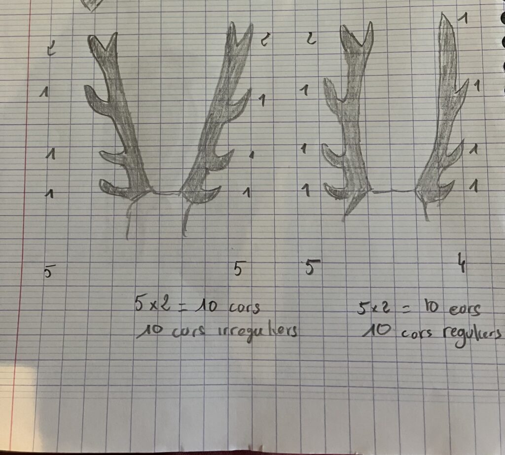 Determination du nombre de cors